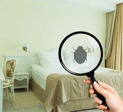 Magnifying glass showing bed bug sign in bedroom – PC Los Angeles