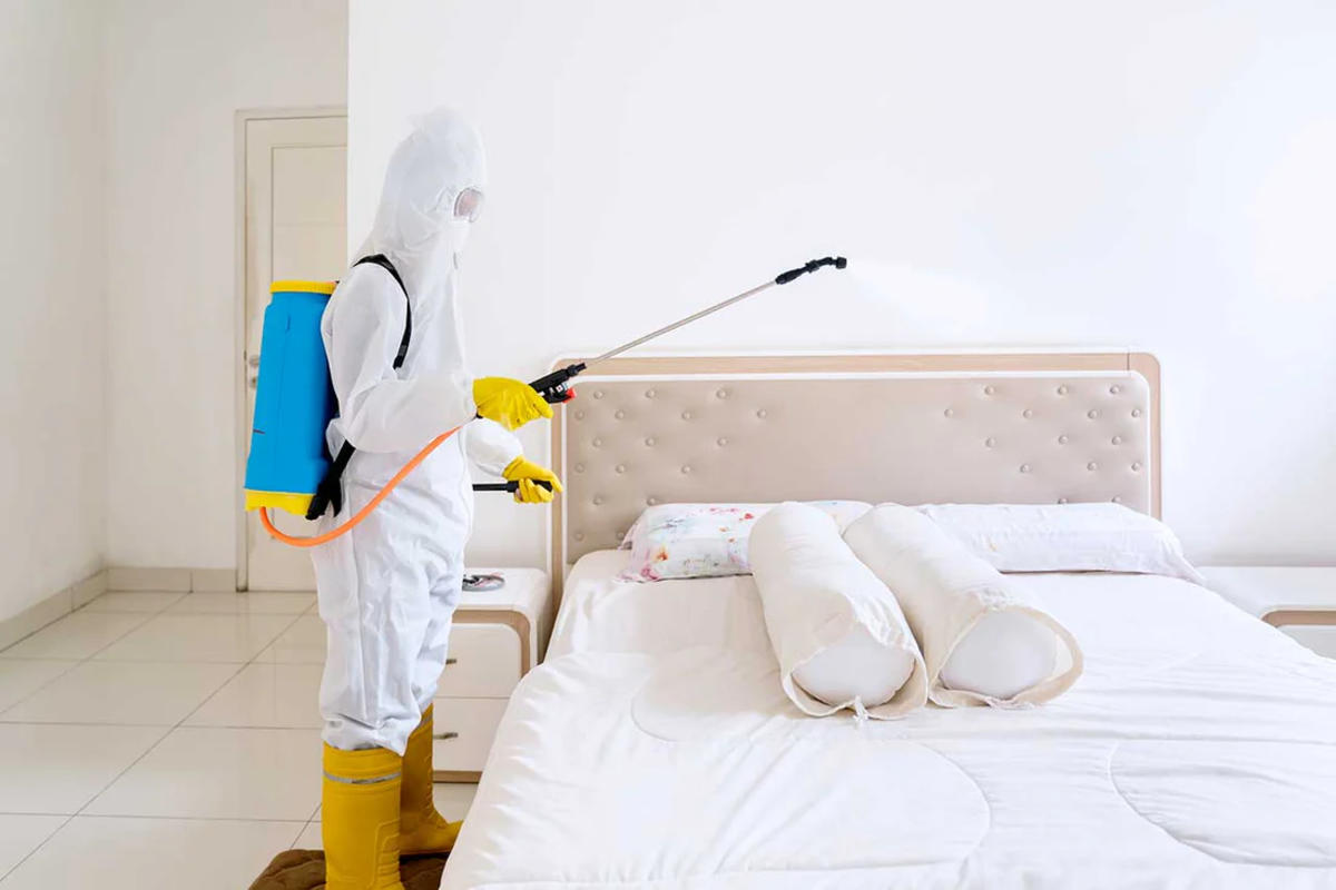 Pest control specialist treating bedroom for bed bugs – PC Los Angeles