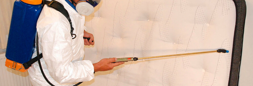 Pest control technician treating mattress for bed bugs – PC Los Angeles