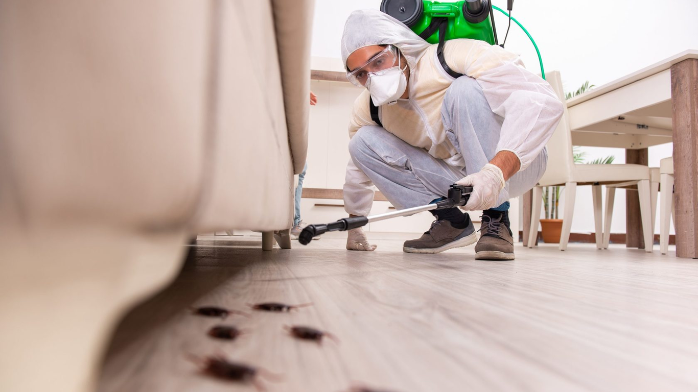 Pest control worker spraying floor to eliminate cockroaches – PC Los Angeles