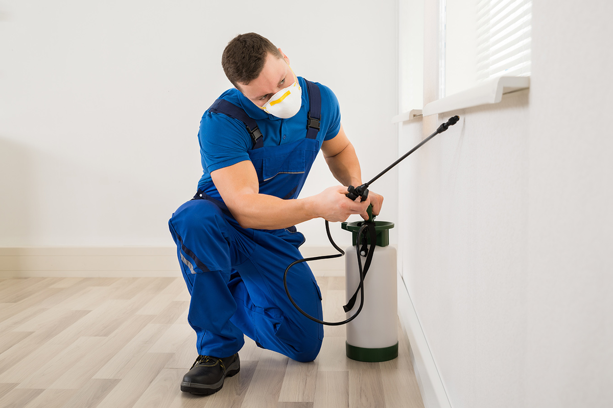 Pest control worker spraying along interior wall – PC Los Angeles