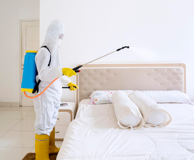 Pest control specialist spraying bedroom mattress – PC Los Angeles