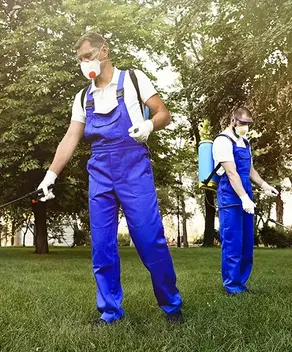 Pest control technicians spraying lawn outdoors – PC Los Angeles