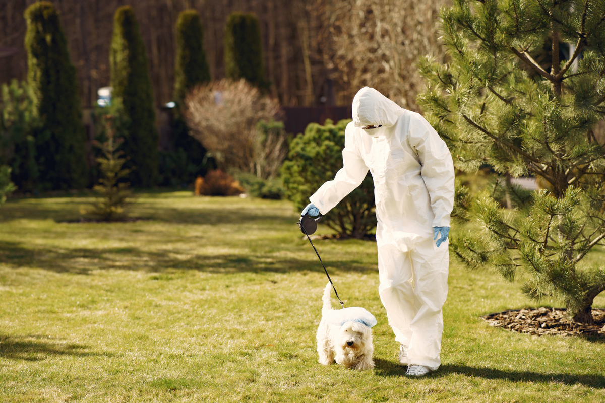 Pest control specialists providing lawn and pet-friendly treatments – PC Los Angeles