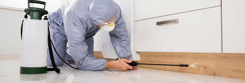 Pest control technician spraying baseboards in kitchen – PC Los Angeles