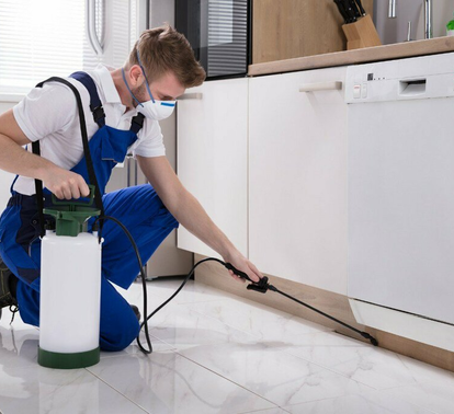 Pest control worker spraying under kitchen cabinets – PC Los Angeles